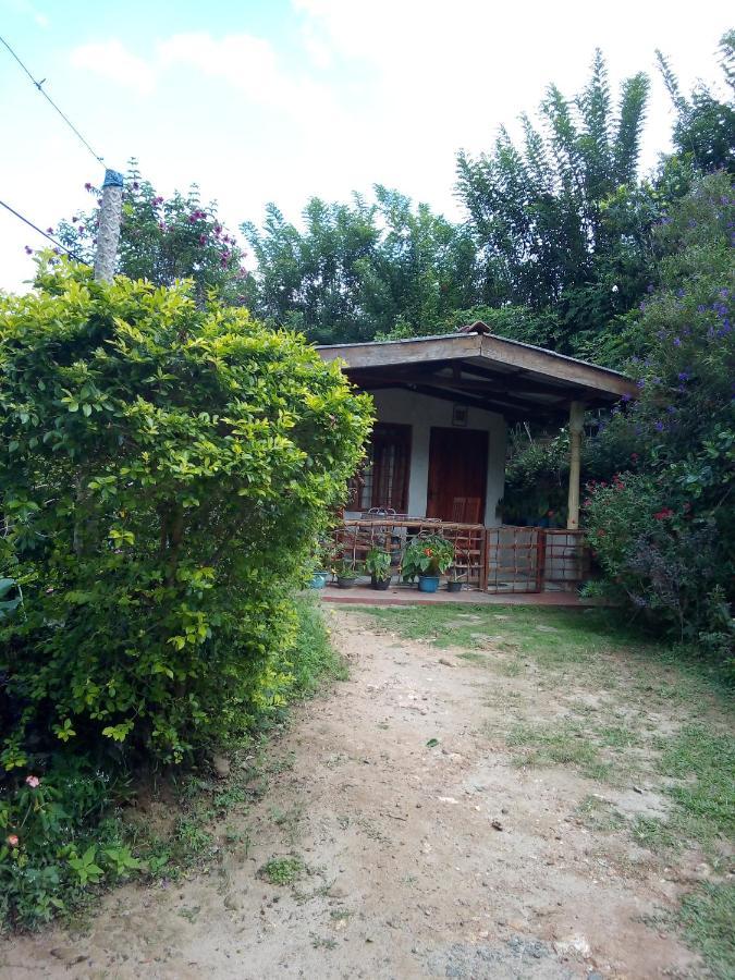 Ella J Villa Exterior foto